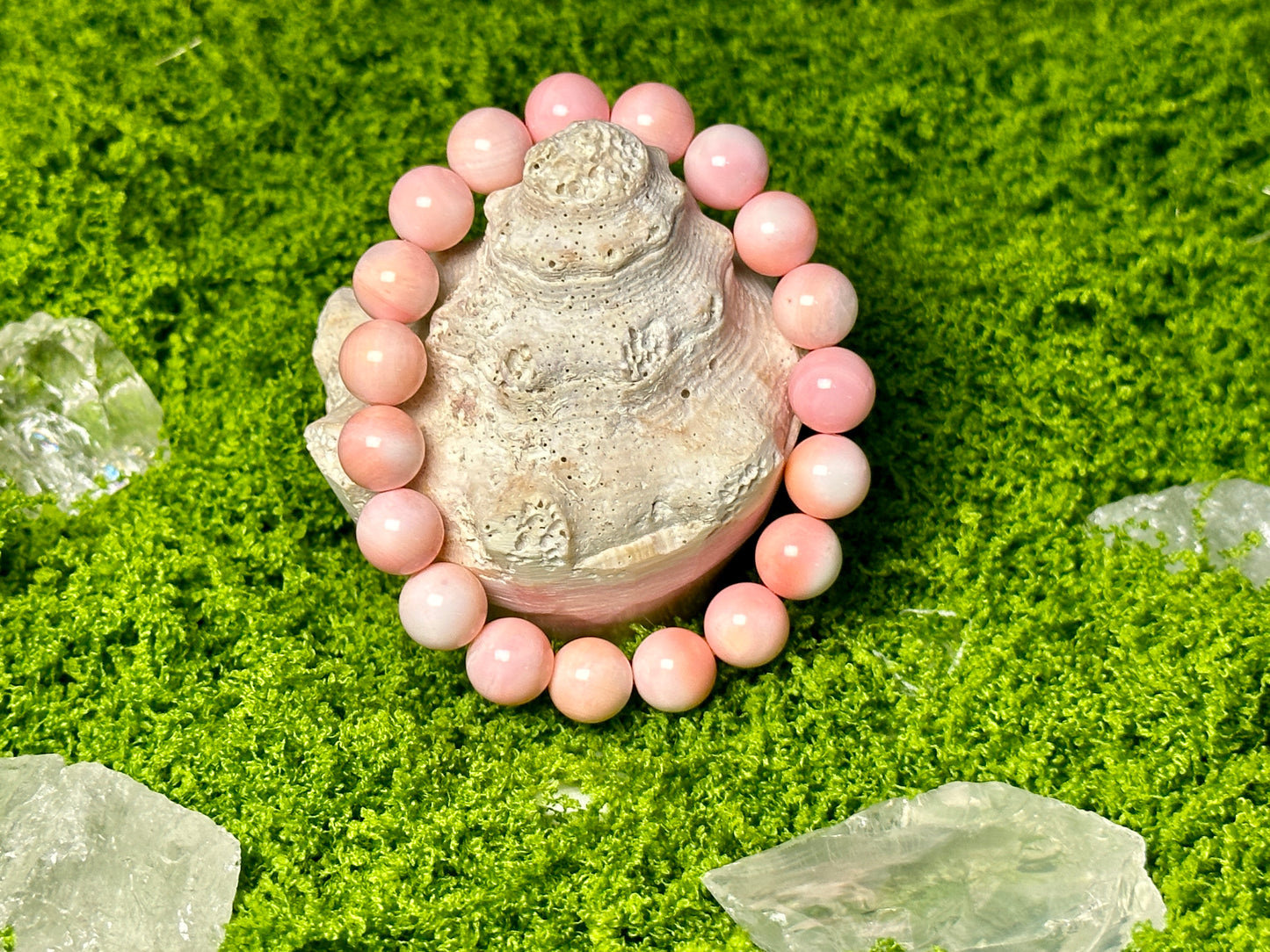 Coral Crown Queen Conch Shell Bracelet